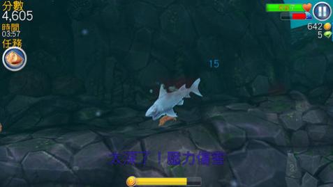 ƽ޽ʯ