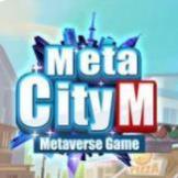 metacity mԪİ