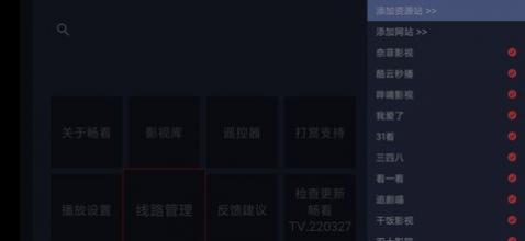 TV2025°