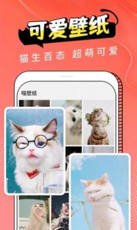 è����(���ｻ��)APP