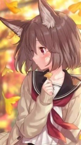 ѡappѰ