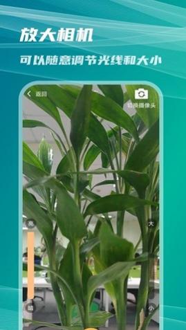 չŴAPP߼