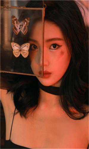 黨ǿmvѹۿӾ