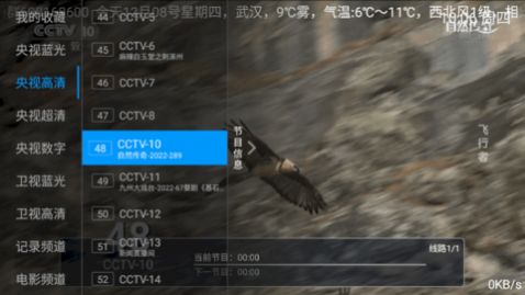 动力电视TV版免费版