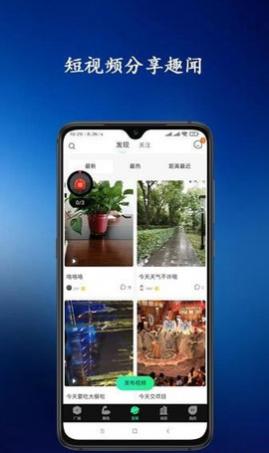 青松教练官方版