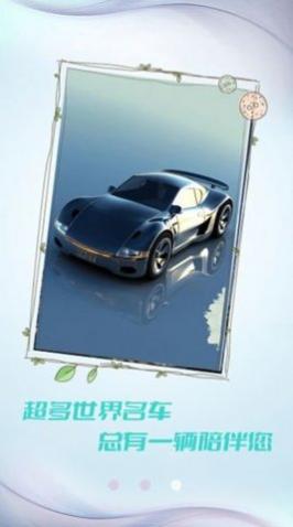 小猪壁纸高清手机壁纸大全app