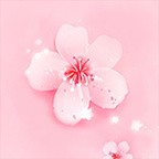 樱花社区直播破解版