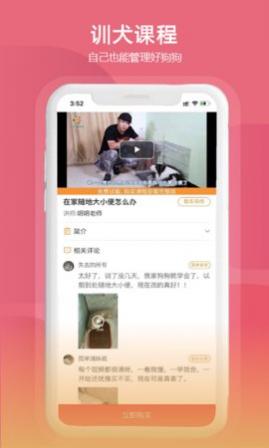 训狗教程(狗狗基本常识)免费版