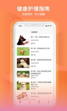 训狗教程(狗狗基本常识)免费版
