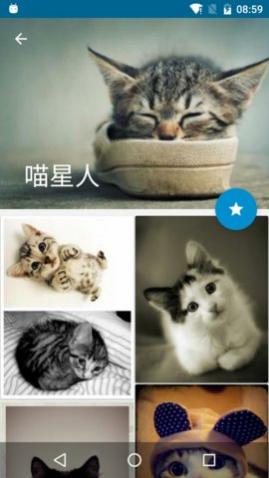 叮咚壁纸最新免费版
