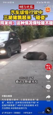 乐夏短视频最新版
