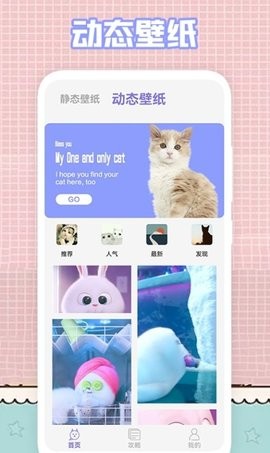 �ҵ�è���ֽapp�����