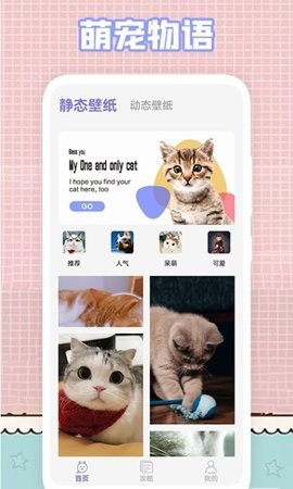 �ҵ�è���ֽapp�����